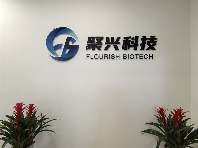 聚兴研发新基地稳健运行，持续赋能技术创新